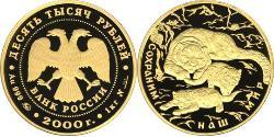 10000 Ruble 俄罗斯 金 