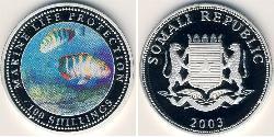 100 Shilling Somalia Silver 