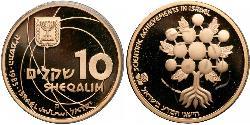 10 Sheqalim Israele (1948 - ) Oro 