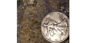1/2 Dollar 美利堅合眾國 (1776 - ) 銀 