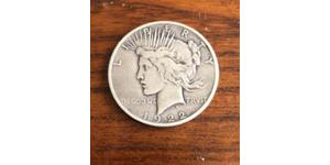 1 Dollar USA (1776 - ) Silver 