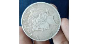 1 Dollar USA (1776 - ) Silver 