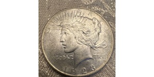 1 Dollar 美利堅合眾國 (1776 - ) 銀 