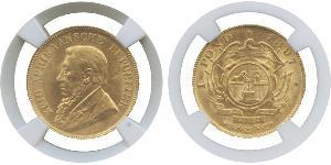 1 Pond Südafrika (1910 - ) Gold Paul Kruger (1825 - 1904)