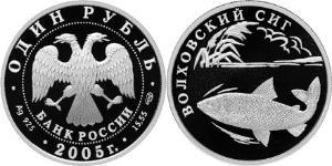 1 Rublo Federazione russa (1991 - ) Argento 