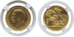 1 Sovereign Afrique du Sud (1910 - ) Or George V (1865-1936)