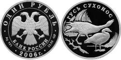 1 Рубль Російська Федерація (1991 - ) Срібло 