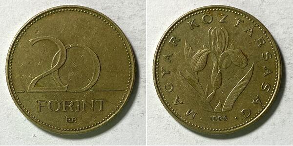 20 Forint Hungary (1989 - ) Brass 