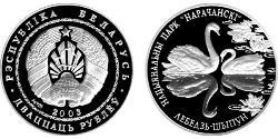 20 Rublo Bielorussia (1991 - ) Argento 