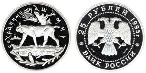 25 Rublo Federazione russa (1991 - ) Argento 