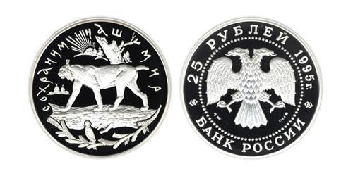 25 Rublo Federazione russa (1991 - ) Argento 