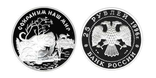 25 Rublo Federazione russa (1991 - ) Argento 