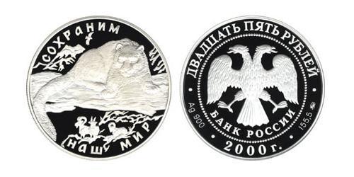 25 Рубль Російська Федерація (1991 - ) Срібло 