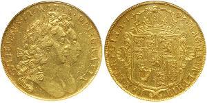 5 Guinea Kingdom of England (927-1649,1660-1707) Gold William III (1650-1702)