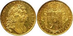 5 Guinea Königreich England (927-1649,1660-1707) Gold Wilhelm III (1650-1702)