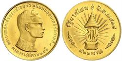 800 Baht 泰国 金 普密蓬·阿杜德