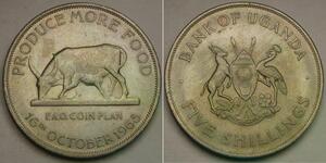 UGANDA 5 Shillings ND (1968) - Copper-Nickel - F.A.O. - XF/aUNC - 499 *