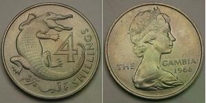 GAMBIA 4 Shillings 1966 - Copper-Nickel - Crocodile  - aUNC - 431 *